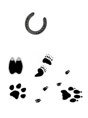 Tierarztpraxis Dr. Kilian